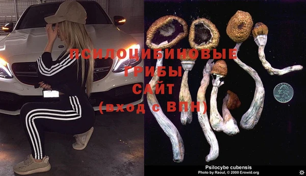 гидра Абдулино