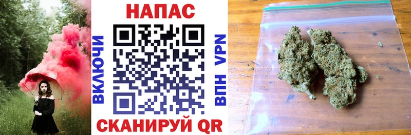 Каннабис OG Kush omg ССЫЛКА Тайга